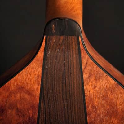 Stevens Mandola Spruce / Bubinga 2026 - Natural image 9