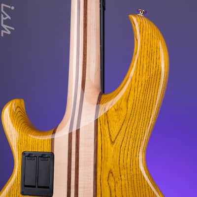 Aria Pro II SB-1000B Oak image 9
