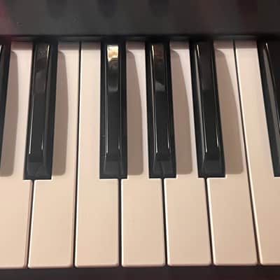 Dave Smith Prophet 12 imagen 9