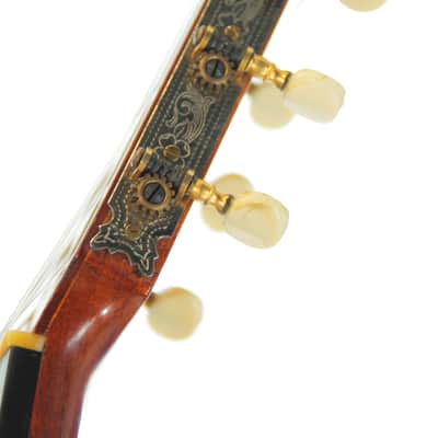 Manuel de la Chica 1957 - lightweight classical guitar with gorgeous sound - style of Santos Hernandez/Marcelo Barbero + Video! image 8
