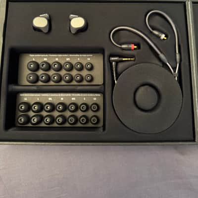 Sony IER-M9 In-Ear Monitor Headphones image 3