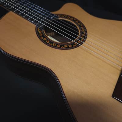 New Jose Ramirez Cedar Estudio 140 CWE Acoustic Electric Classical Nylon String Guitar w/ Logo'd Hard Case image 12