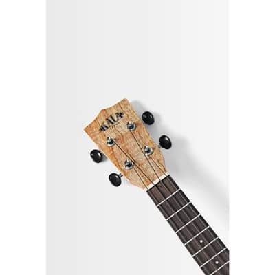 Kala Cape Lilac Mahogany KA-CLM-C Uke Concert W/Gigbag image 5