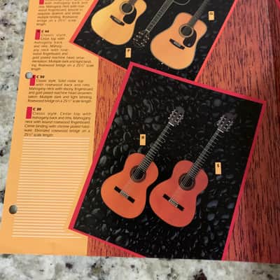 Epiphone Brochure Catalog  1982 Sheraton Casino image 7