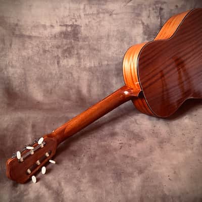 Framus 5/24 Barcelona 60'es image 3