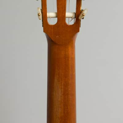 Kolya Panhuyzen Classical Guitar (1999), black hard shell case. image 6
