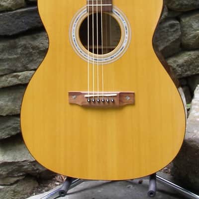 Martin Special Edition SP 000C-16R image 10