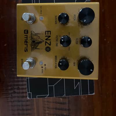 Meris Enzo 2018 - Gold image 1