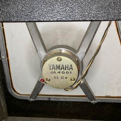 Fender Bantam Bass 2-Channel 30-Watt 1x15" Guitar Combo 1969 - 1970 Silverface image 3