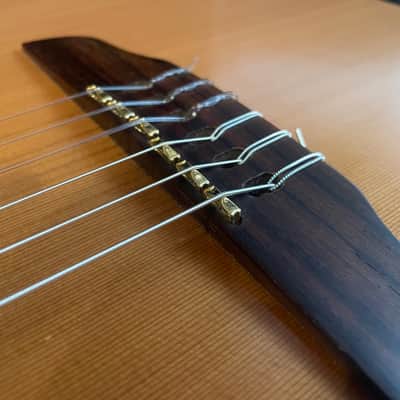 Godin Multiac ACS SA Cedar Nylon 2013 image 13