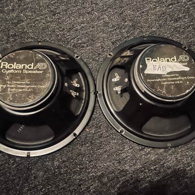For parts – Roland Jazz Chorus 10" Speakers 80s – Recone project image 2