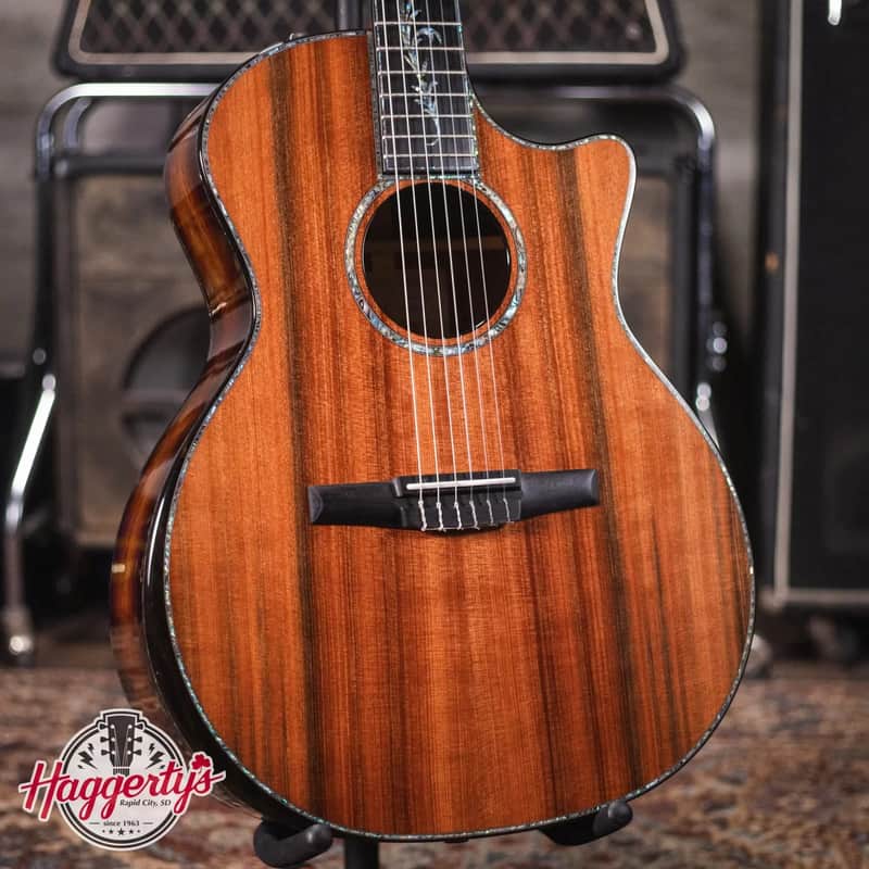 Taylor PS14ce-N Honduran Rosewood/Sinker Redwood Nylon Acoustic/Electric Guitar with Hardshell Case image 1