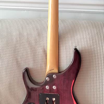 Super Rare Samick Artist Series 29 Fret image 7