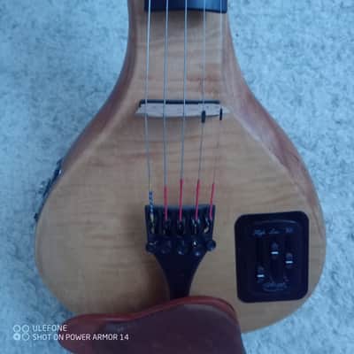 Canadian Eviolin Electric pro 5 strings Violin violon haute gamme image 16