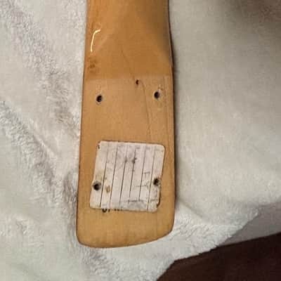 Fender Precision 1978 - Palissandro image 4