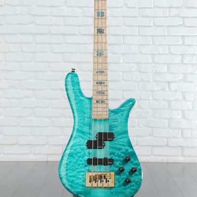 Spector NS-2 USA 2025 - Aquatic image 3