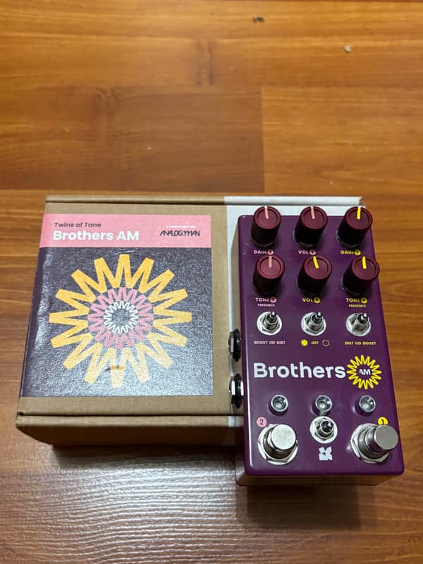 Chase Bliss Audio Brothers AM