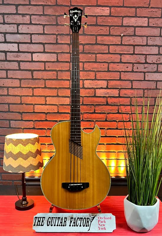 Washburn AB-20  90's Gloss Natural Wood With Hard Case image 1
