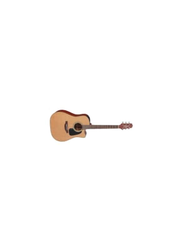Takamine P1DC image 1