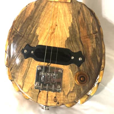 3 string Turtle shell slide guitar image 5