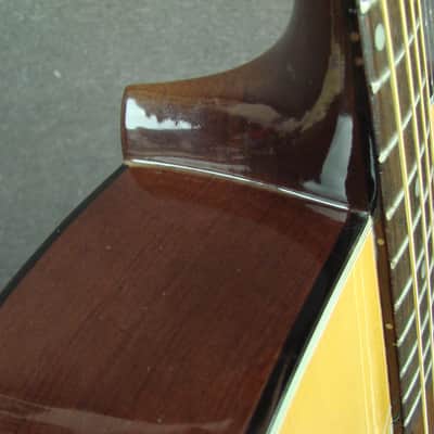 Ventura V12 Acoustic Guitar Made in Japan image 8