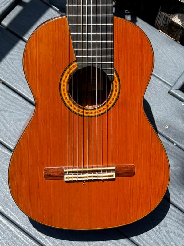 Batiste Bofi Concierto 10-String Classical 1984 - stunning 41 year old Indian Rosewood special order from Valencia Spain. image 1