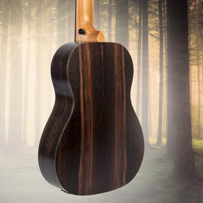30 inch Ebony African Blackwood Professional E-A-D-G with Gig Bag Strap for Beginner Advanced image 4