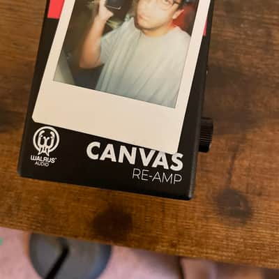 Walrus Audio Canvas Passive Re-Amp Unit 2023 - Present - Black w/ Rainbow Graphic image 11