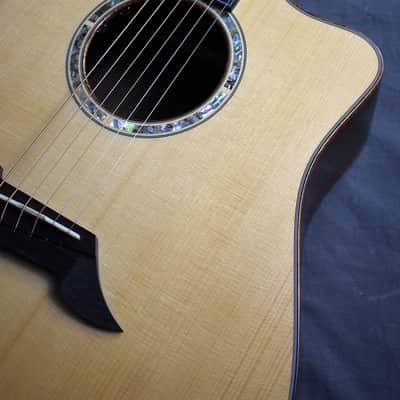 2010 Breedlove Special Edition Focus D image 2