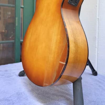 Breedlove Pursuit Exotic S Concert CE 12-String All Myrtlewood 2021 - Present - Amber image 5