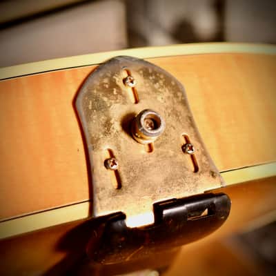 Fender D'Aquisto Elite Natural 1984 image 22