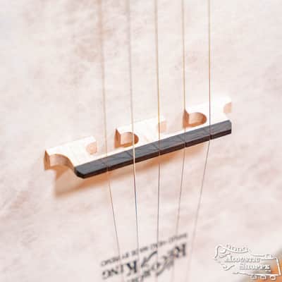 Recording King RK-OT26-BR Madison Old Time Open Back Banjo #0677 image 5