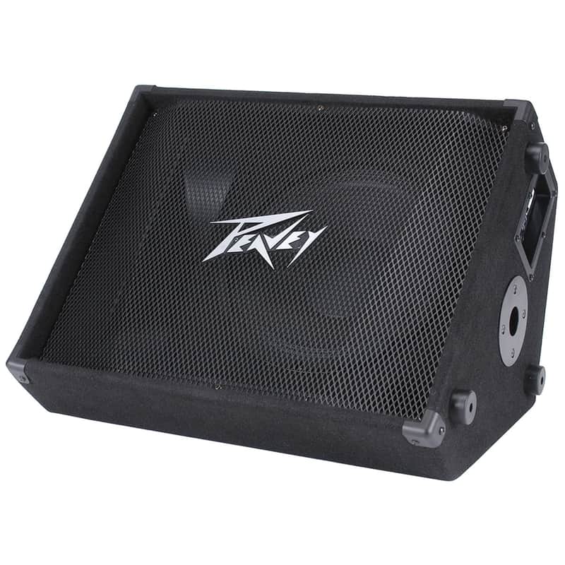 Peavey PV PASSIVE Monitor 12M image 1