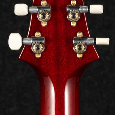Paul Reed Smith DGT 10-Top Birds - Dark Cherry Burst image 12