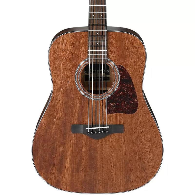 Ibanez AW54 Artwood image 1