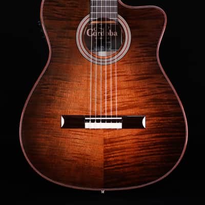 Cordoba Fusion 12 Cinnamon Burst Nylon String Guitar image 1