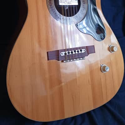 Hofner 492 E 12 string 1967. (Mahogany) image 1
