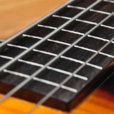 Warwick Rockbass Star Bass II Fretless - High Gloss Sunburst image 12