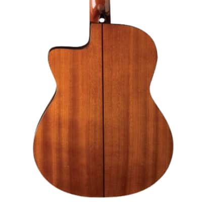 Washburn C5CE-A Classical Series Cutaway Acoustic Electric Guitar image 17