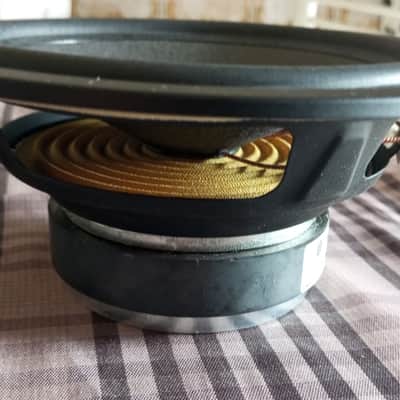 Pylon PSW 18.8 CS woofer for Pylon Opal monitor speakers imagen 4