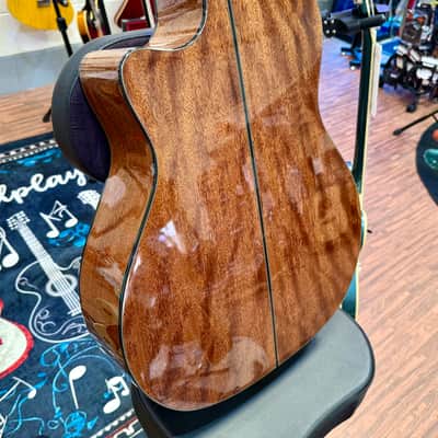 🌟NEW 2025 🌟 Cort Gold A6 Nat Electro Acoustic~ Natural~ Ebony Board~ Gig Bag! image 13