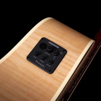 Seagull 032464 / 052103 Performer CW HG Presys II Acoustic Electric Cutaway Guitar with Carrying Bag MADE In CANADA image 3