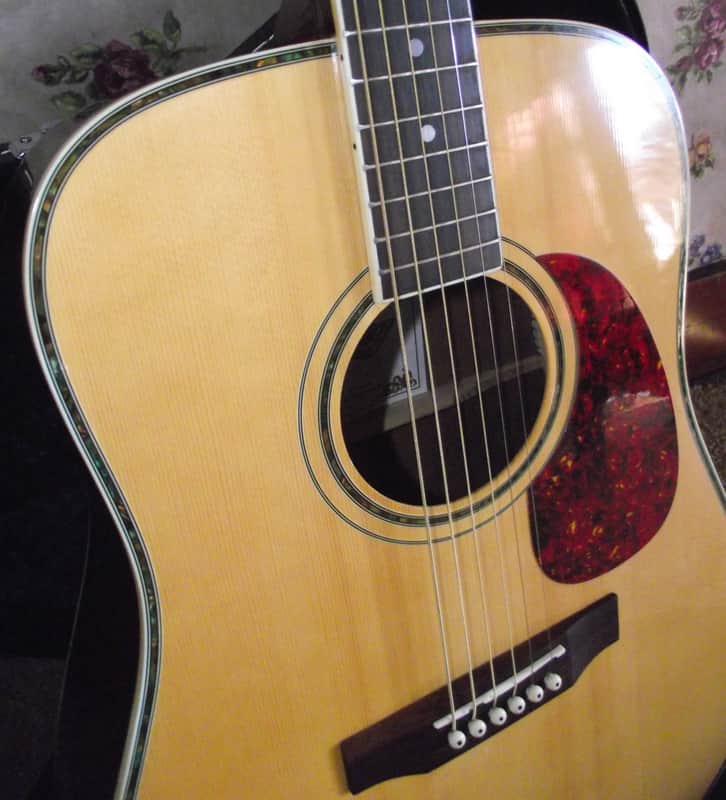 COPLEY CA-50 Acoustic Guitar image 1