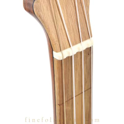 2019 PISGAH CUSTOM FLUSH FRET 5-STRING BANJO image 24
