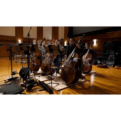 Vienna Symphonic Library Synchron Duality Strings Bundle - Full Library image 8