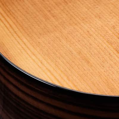 Taylor 214ce Plus Grand Auditorium Acoustic/Electric Guitar with Aerocase image 5