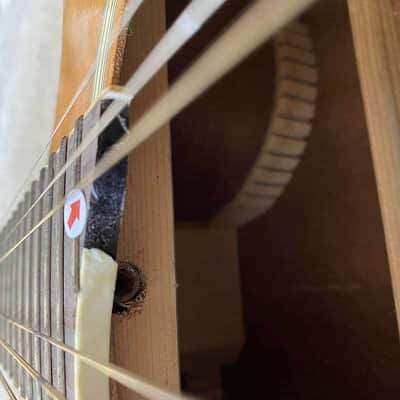 Sakura 40 Inch Acoustic Guitar, Mahogany Body and Neck, Rosewood Fingerboard image 8