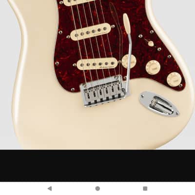 Fender Stratocaster Player Plus w/hardshell case image 1