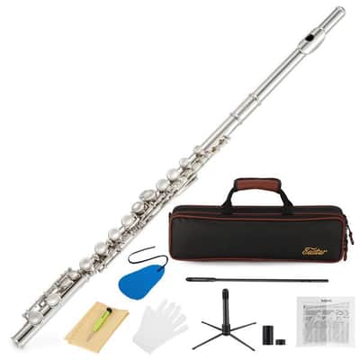 Closed Hole C Flute 16 Key - Nickel Flute Set With Carrying Case image 1