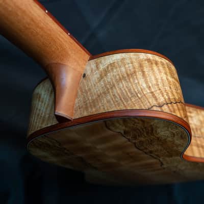 Cordoba 24T cedar top spalted maple tenor ukulele image 9